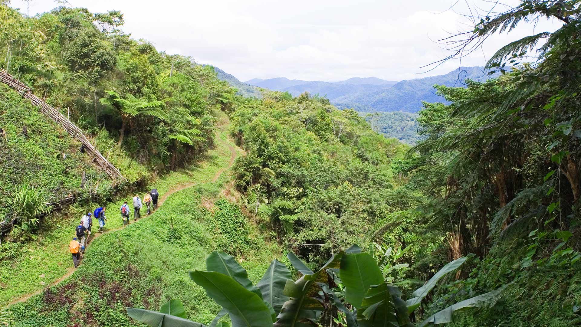 Photo of trekkers on the Kokoda track raising funds for Movember