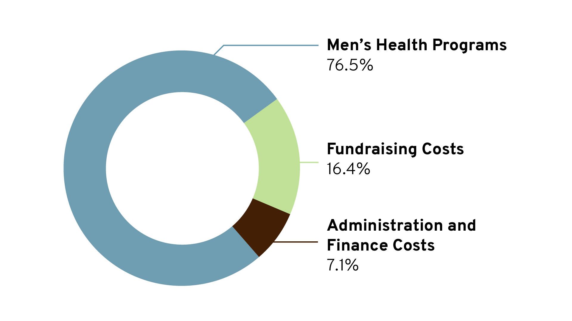 Pie chart showing Movember's financial information
