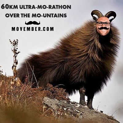 Humorous image of a moustached man's face superimposed on the body of a hairy mountain goat. Superimposed text reads: 60km Ultra-Mo-Rathon over the Mo-Untains."
